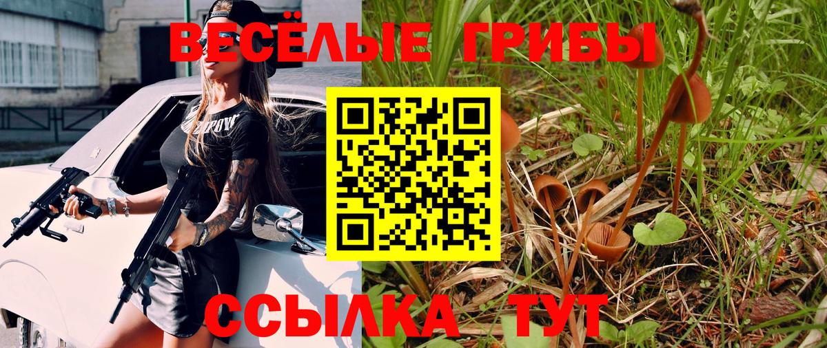 Псилоцибиновые грибы Psilocybine cubensis Шелехов